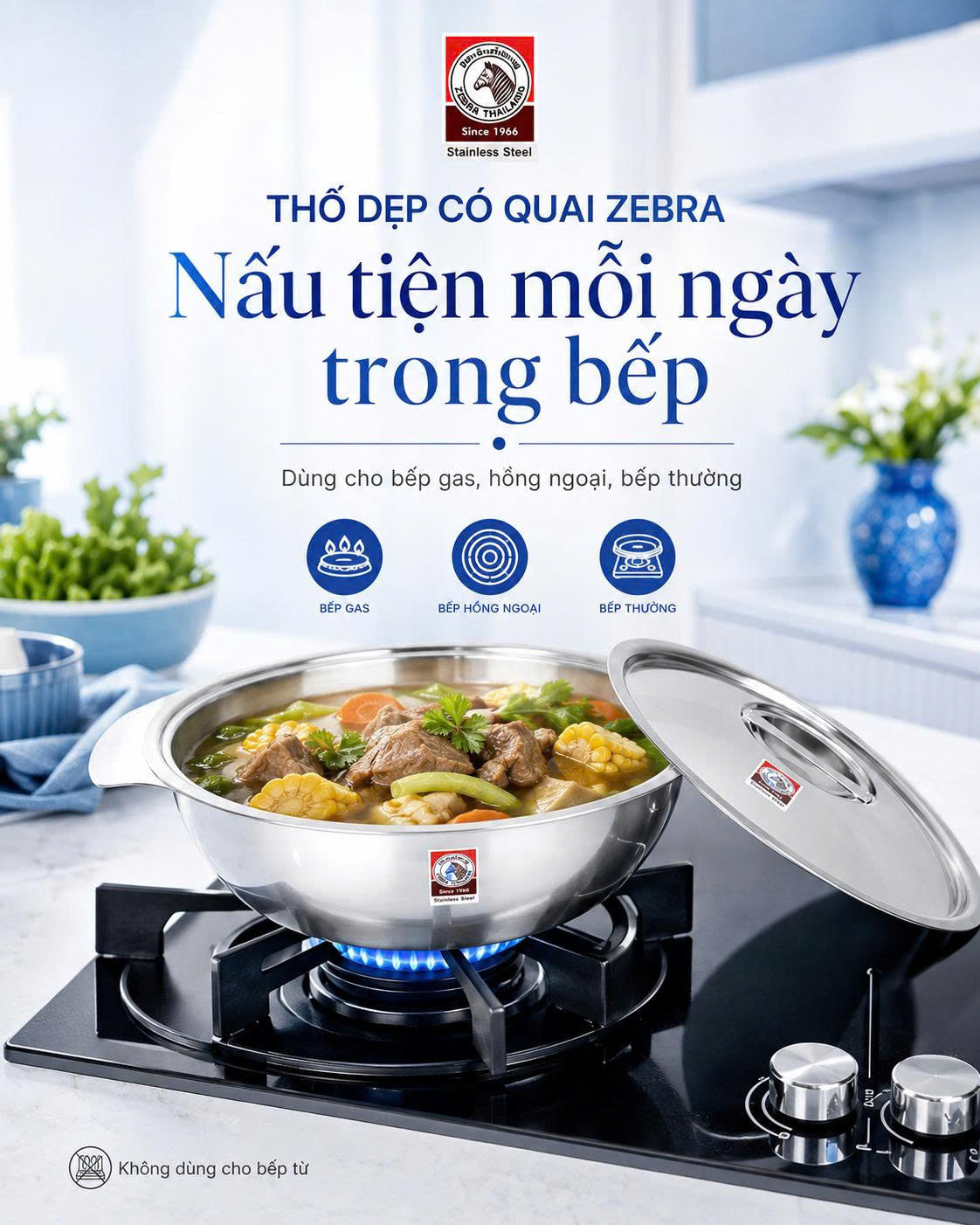 Thố dẹp 2 quai tai gấu - Zebra Thái Lan