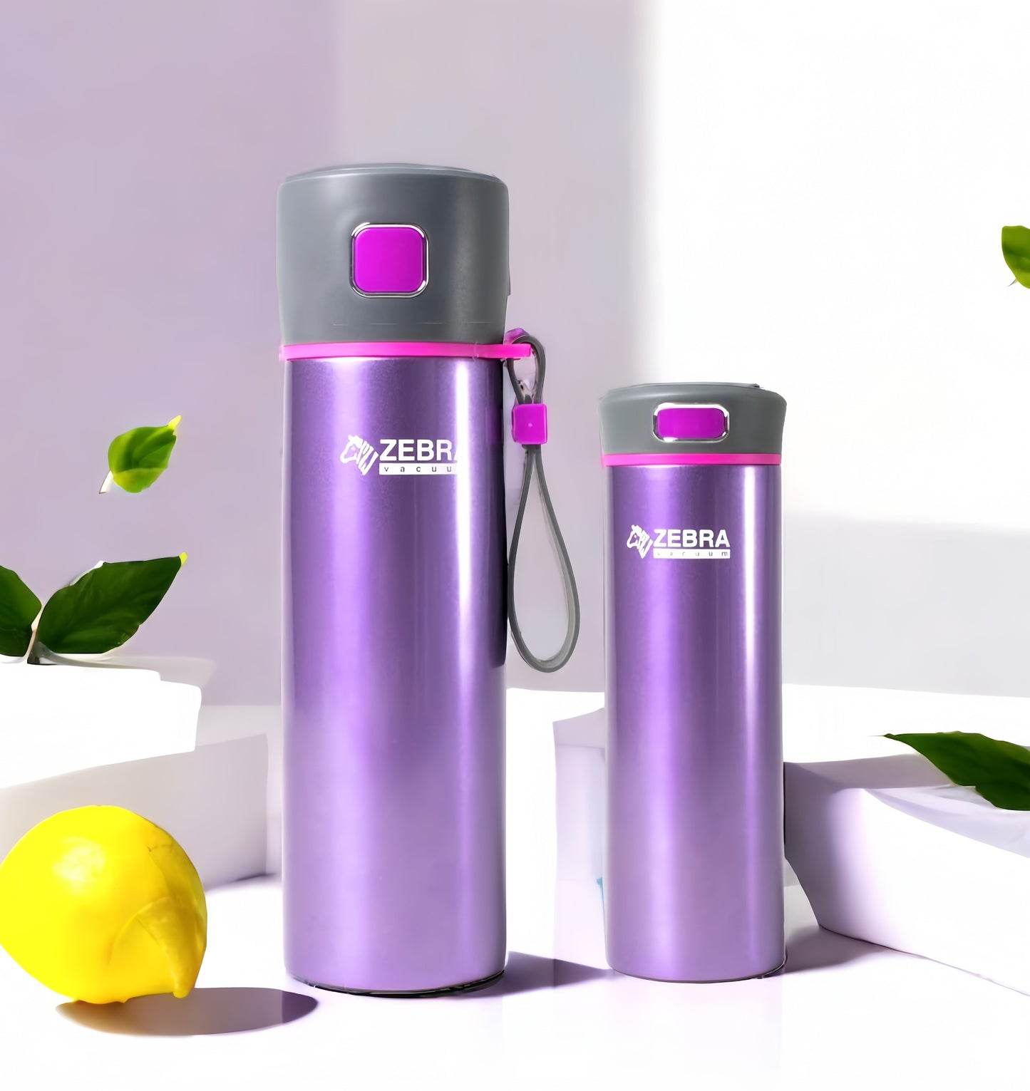 Bình giữ nhiệt Flask 0.48L - Zelect - 112949 (xanh, xám, tím)